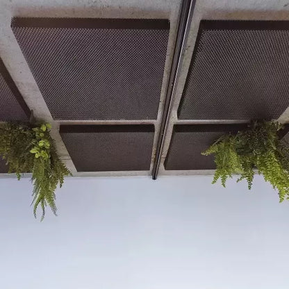 A ceiling with square, brown sound-dampening tiles and hanging green plants.