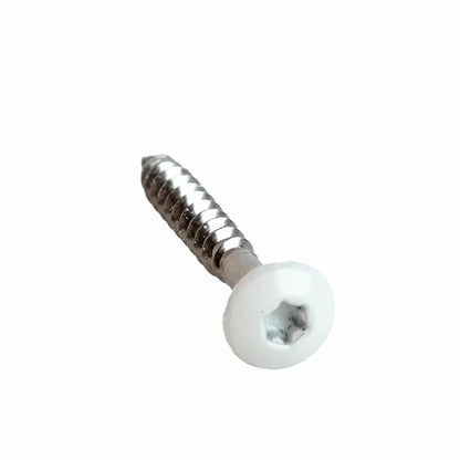 Angled view of a white screw with a silver shank.
