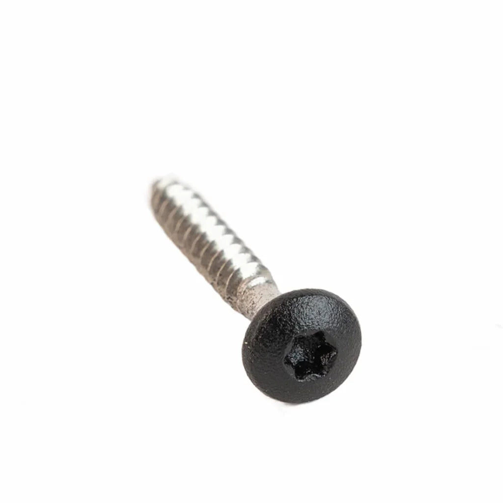 Close-up of a screw with a black head and silver shaft. 
